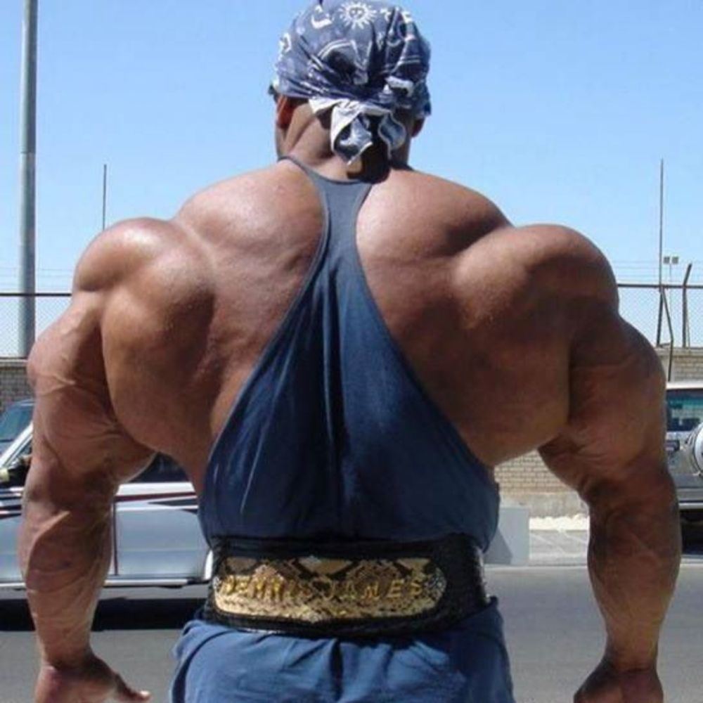 Meet your Posher, Dennis